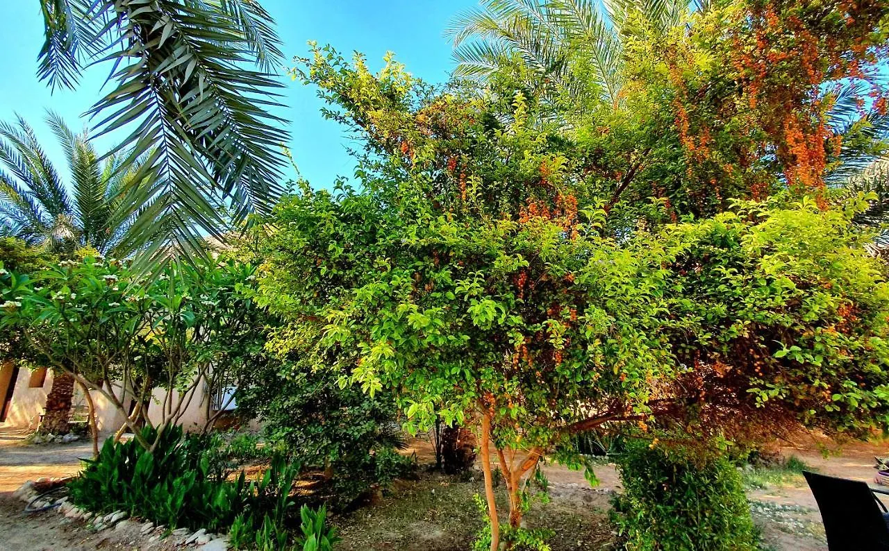 Sekhmet Retreat Centre Hotel Luxor 0*,